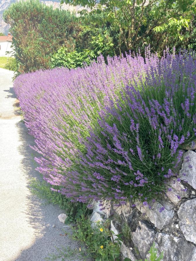 Ferienhaus Auszeit Natur Villach Exterior foto